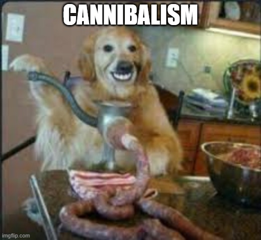 MEAT DOG | CANNIBALISM | image tagged in meat dog | made w/ Imgflip meme maker