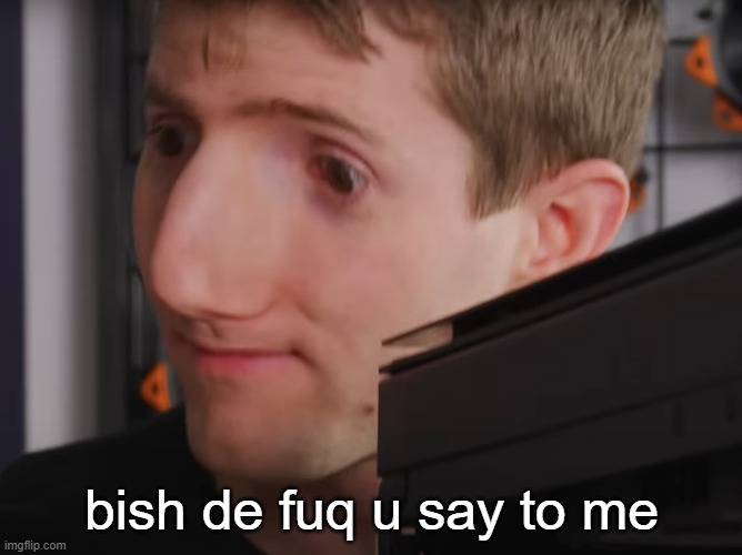 ltt template, make it a thing pls ;-; | bish de fuq u say to me | image tagged in linus enlarged face | made w/ Imgflip meme maker