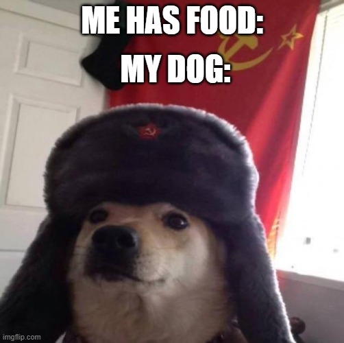 Communist dog | MY DOG:; ME HAS FOOD: | image tagged in communist dog | made w/ Imgflip meme maker