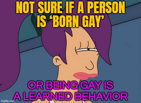 The 'Born Gay' or 'Gay Gene' Myth | NOT SURE IF A PERSON
IS ‘BORN GAY’; OR BEING GAY IS
A LEARNED BEHAVIOR | image tagged in memes,futurama leela,gay pride,gay,homosexuality,equal rights | made w/ Imgflip meme maker