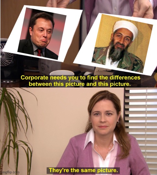 Islamophobia = Islamofascism | image tagged in elon musk,osama bin laden,terrorist leaders,magdeburg,alternative fur deutschland,semantics | made w/ Imgflip meme maker