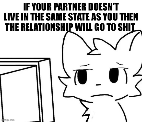 I don’t get online dating smh | IF YOUR PARTNER DOESN’T LIVE IN THE SAME STATE AS YOU THEN THE RELATIONSHIP WILL GO TO SHIT | image tagged in boykisser v2 | made w/ Imgflip meme maker