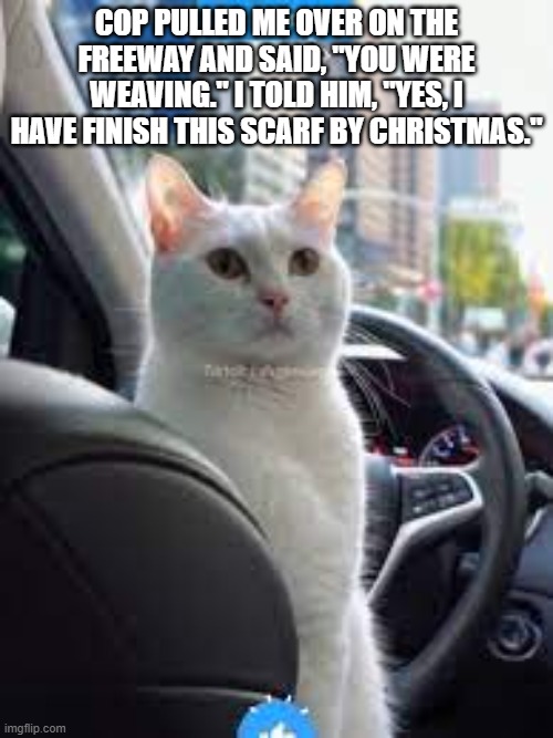 Cop pulled me over | COP PULLED ME OVER ON THE FREEWAY AND SAID, "YOU WERE WEAVING." I TOLD HIM, "YES, I HAVE FINISH THIS SCARF BY CHRISTMAS." | image tagged in smudge the cat | made w/ Imgflip meme maker