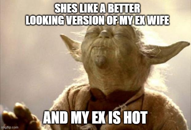 hot | SHES LIKE A BETTER LOOKING VERSION OF MY EX WIFE; AND MY EX IS HOT | image tagged in yoda smell | made w/ Imgflip meme maker