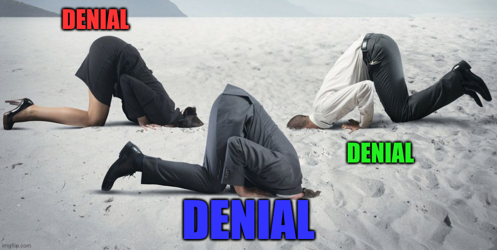 denial | DENIAL DENIAL DENIAL | image tagged in denial | made w/ Imgflip meme maker