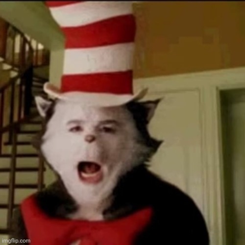 Cat in the Hat | image tagged in cat in the hat | made w/ Imgflip meme maker