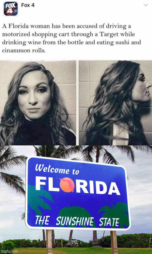 Florida Woman | image tagged in florida,welcome,target,wine,sushi | made w/ Imgflip meme maker