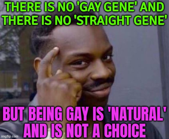 Being Gay Is 'Natural' And Is Not A Choice | THERE IS NO 'GAY GENE' AND
THERE IS NO 'STRAIGHT GENE'; BUT BEING GAY IS 'NATURAL'
AND IS NOT A CHOICE | image tagged in smart black guy,gay pride,gay,lgbtq,lesbians,homosexuality | made w/ Imgflip meme maker