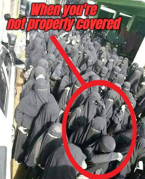 The Prophet did say "Complete body covering, excluding the eyes" :D | When you're not properly covered | image tagged in islam,funny,sarcasm,irony | made w/ Imgflip meme maker