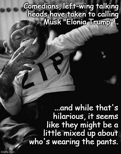 It's pretty clear who's on top in the relationship. | Comedians, left-wing talking
heads have taken to calling
Musk "Elonia Trump"... ...and while that's
hilarious, it seems
like they might be a
little mixed up about
who's wearing the pants. | image tagged in zip the smoking chimp,elon musk,grimma wormtongue,trump meme,trump is weak | made w/ Imgflip meme maker