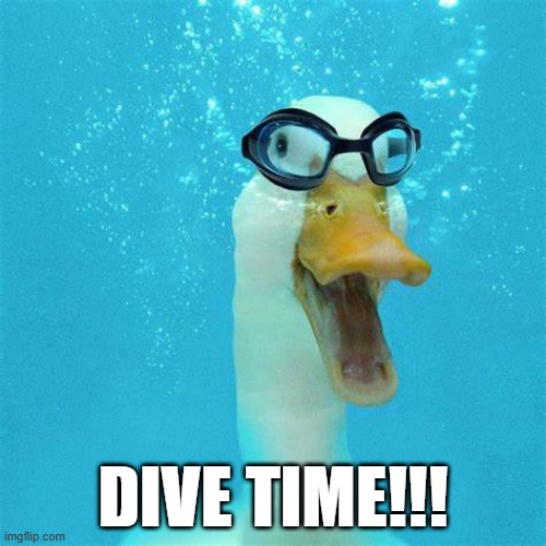 Diver Duck | DIVE TIME!!! | image tagged in ducks | made w/ Imgflip meme maker