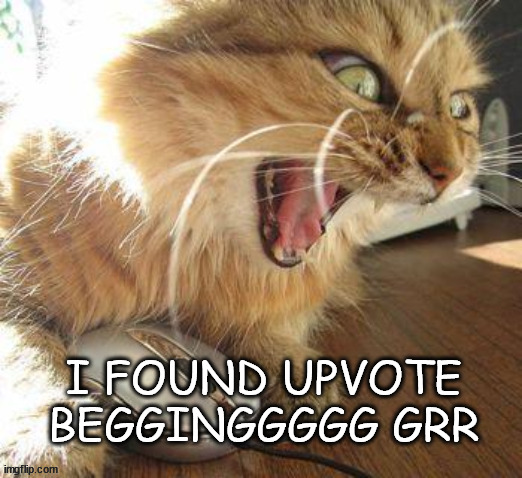 https://imgflip.com/i/9ei6en | I FOUND UPVOTE BEGGINGGGGG GRR | image tagged in grumpy cat,upvote begging | made w/ Imgflip meme maker