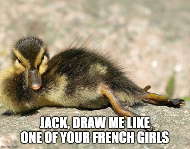 Duck Pose | JACK, DRAW ME LIKE ONE OF YOUR FRENCH GIRLS | image tagged in ducks | made w/ Imgflip meme maker