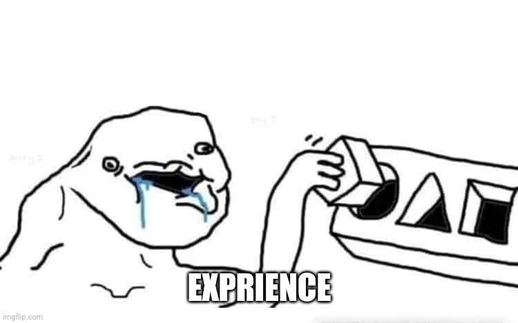 Stupid dumb drooling puzzle | EXPRIENCE | image tagged in stupid dumb drooling puzzle | made w/ Imgflip meme maker