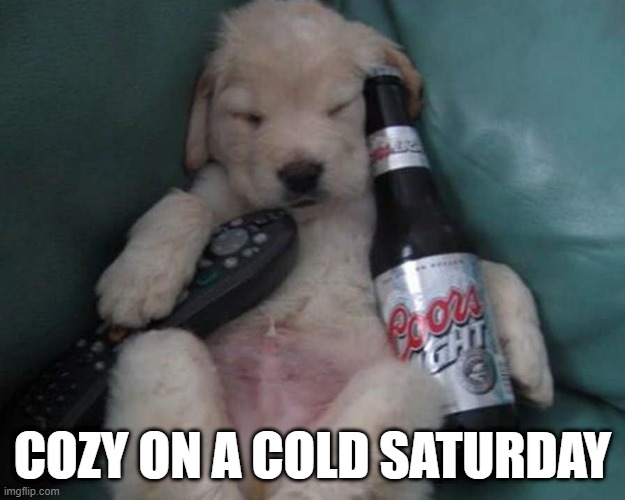 Cozy | COZY ON A COLD SATURDAY | image tagged in dogs | made w/ Imgflip meme maker