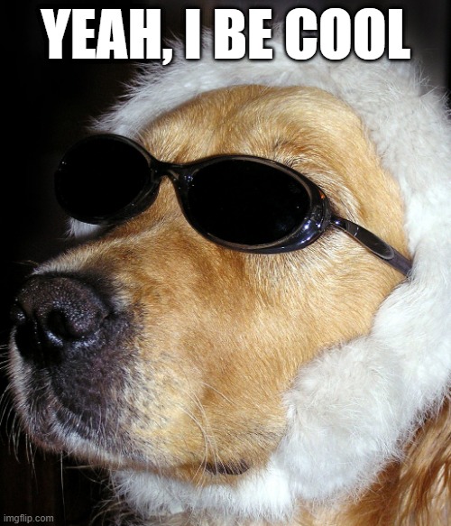 Cool Dog | YEAH, I BE COOL | image tagged in dogs | made w/ Imgflip meme maker