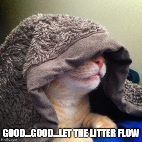 Emperor Palpacat | GOOD...GOOD...LET THE LITTER FLOW | image tagged in cats | made w/ Imgflip meme maker