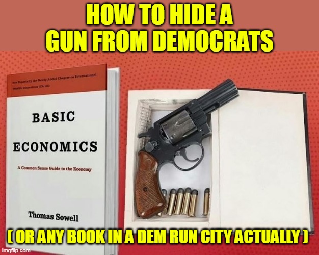 The Economy, is NOT their thing | HOW TO HIDE A GUN FROM DEMOCRATS; ( OR ANY BOOK IN A DEM RUN CITY ACTUALLY ) | made w/ Imgflip meme maker