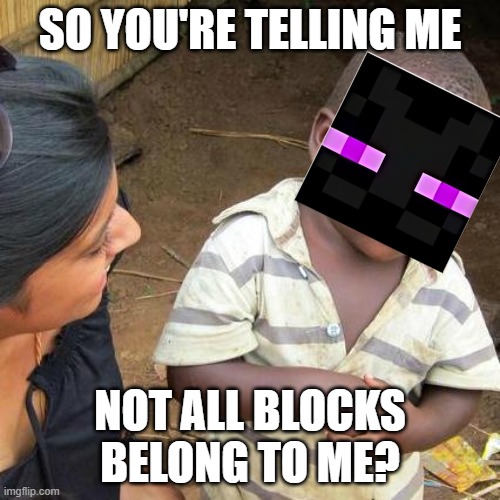 Third World Skeptical Kid | SO YOU'RE TELLING ME; NOT ALL BLOCKS BELONG TO ME? | image tagged in memes,third world skeptical kid | made w/ Imgflip meme maker