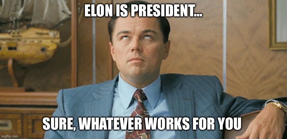 leo eye roll | ELON IS PRESIDENT… SURE, WHATEVER WORKS FOR YOU | image tagged in leo eye roll | made w/ Imgflip meme maker