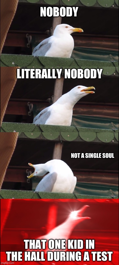 …AAAAHHHHHHHHH | NOBODY; LITERALLY NOBODY; NOT A SINGLE SOUL; THAT ONE KID IN THE HALL DURING A TEST | image tagged in memes,inhaling seagull | made w/ Imgflip meme maker