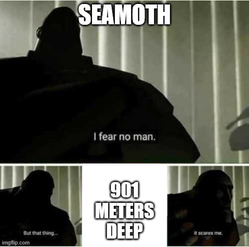 subnautico meam | SEAMOTH; 901
METERS
DEEP | image tagged in i fear no man | made w/ Imgflip meme maker