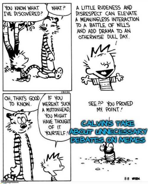 No One Yelled "Rumble" | CALVIN'S TAKE ABOUT UNNECESSARY DEBATES ON MEMES | image tagged in honey whats wrong,debate,how rude | made w/ Imgflip meme maker