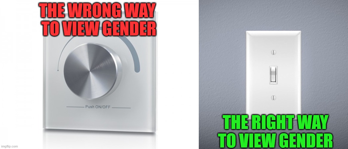 There are only two genders.  The Bible says so. | THE WRONG WAY 
TO VIEW GENDER; THE RIGHT WAY
TO VIEW GENDER | image tagged in two,genders,male,female,toggle switch,dimmer switch | made w/ Imgflip meme maker