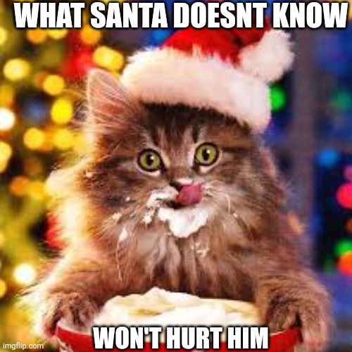 The cat is going to drink all of Santa's milk | WHAT SANTA DOESNT KNOW; WON'T HURT HIM | image tagged in cat,santa,christmas cat,kitten | made w/ Imgflip meme maker