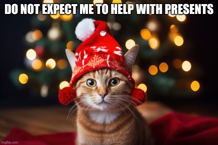 The cat is now an elf | DO NOT EXPECT ME TO HELP WITH PRESENTS | image tagged in cat,elf,kitten,christmas cat | made w/ Imgflip meme maker