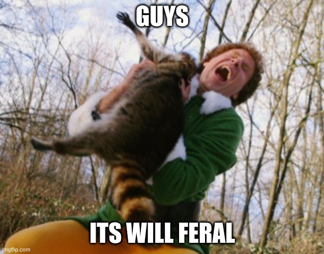 Buddy the elf and raccoon | GUYS; ITS WILL FERAL | image tagged in buddy the elf and raccoon | made w/ Imgflip meme maker