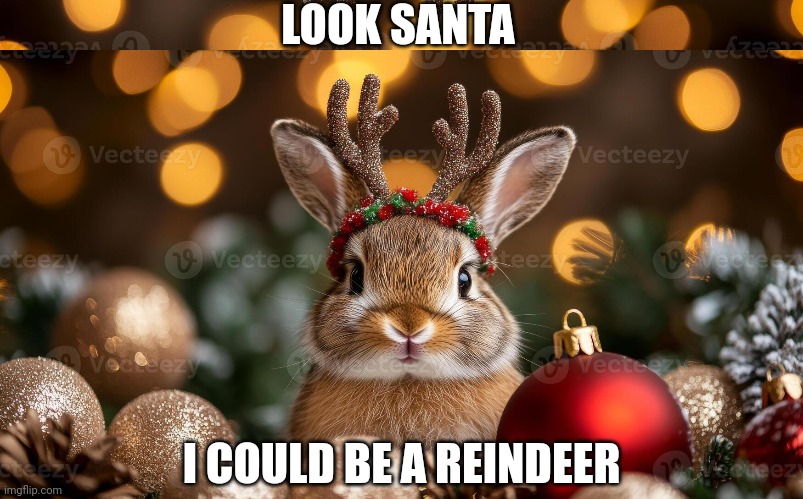 Santa's little helper | LOOK SANTA; I COULD BE A REINDEER | image tagged in bunny,christmas | made w/ Imgflip meme maker