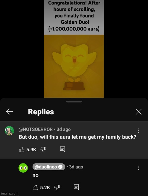 Duolingo meme | image tagged in duolingo,duolingo bird | made w/ Imgflip meme maker