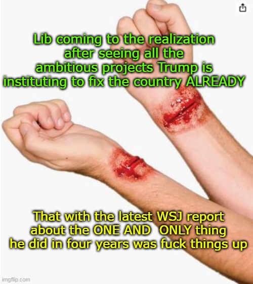 Harmful work, And No work at all | Lib coming to the realization after seeing all the ambitious projects Trump is instituting to fix the country ALREADY; That with the latest WSJ report about the ONE AND  ONLY thing he did in four years was fuck things up | image tagged in biden worst potus in history meme | made w/ Imgflip meme maker