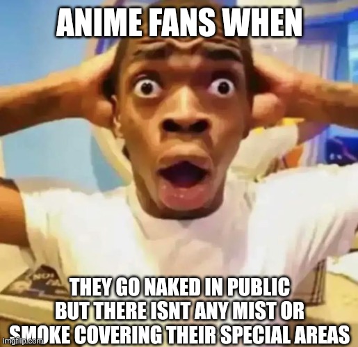 Sexy Harem Jutsu | ANIME FANS WHEN; THEY GO NAKED IN PUBLIC BUT THERE ISNT ANY MIST OR SMOKE COVERING THEIR SPECIAL AREAS | image tagged in shocked black guy | made w/ Imgflip meme maker