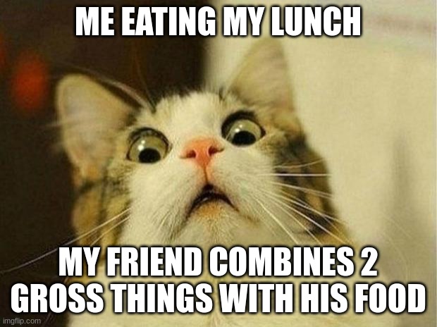 gross | ME EATING MY LUNCH; MY FRIEND COMBINES 2 GROSS THINGS WITH HIS FOOD | image tagged in memes,scared cat | made w/ Imgflip meme maker