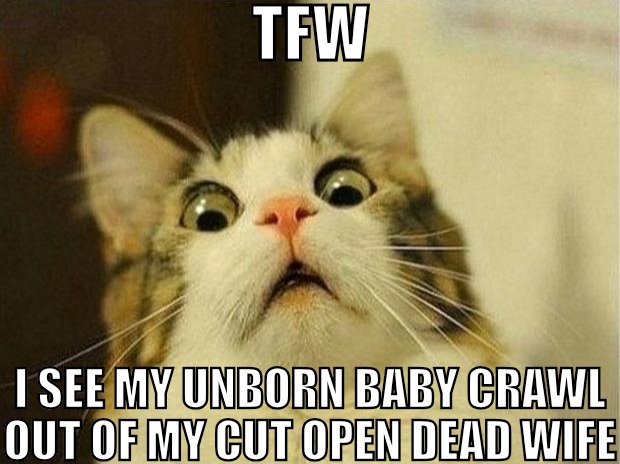 Scared Cat | TFW; I SEE MY UNBORN BABY CRAWL OUT OF MY CUT OPEN DEAD WIFE | image tagged in memes,scared cat | made w/ Imgflip meme maker