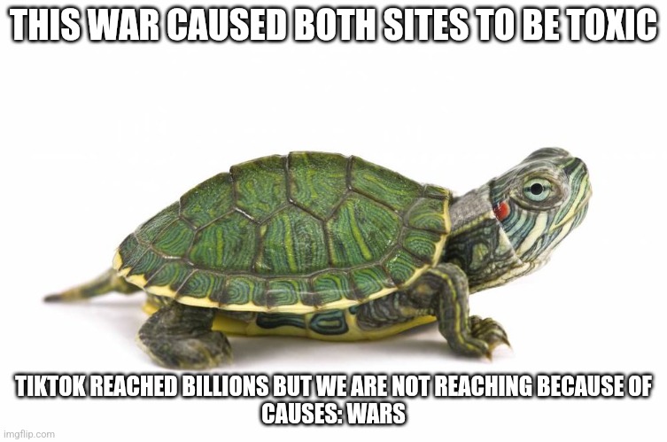 OK NOW FOR STREAM CAPTAINS | THIS WAR CAUSED BOTH SITES TO BE TOXIC; TIKTOK REACHED BILLIONS BUT WE ARE NOT REACHING BECAUSE OF
CAUSES: WARS | image tagged in turtle | made w/ Imgflip meme maker