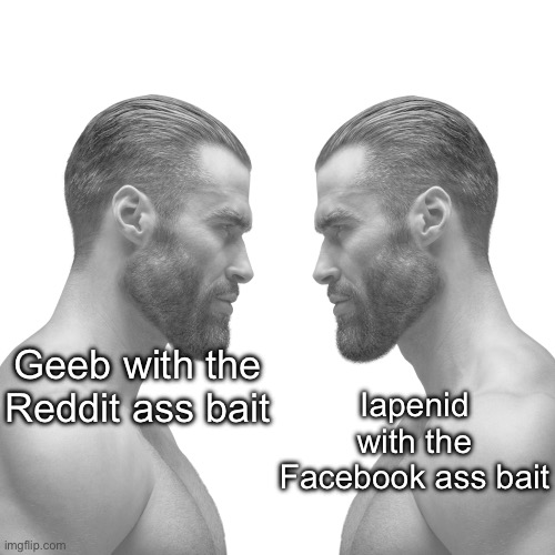 what the fuck is chat on. | Iapenid with the Facebook ass bait; Geeb with the Reddit ass bait | image tagged in two gigachads | made w/ Imgflip meme maker