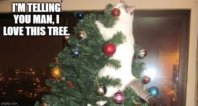 memes by  Brad - My cat just loves our Christmas tree - humor - | I'M TELLING YOU MAN, I LOVE THIS TREE. | image tagged in cats,kittens,christmas tree,funny,christmas,humor | made w/ Imgflip meme maker