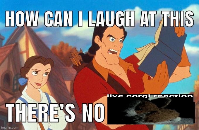 @pharaohofegypt | image tagged in how can i laugh at this there's no | made w/ Imgflip meme maker