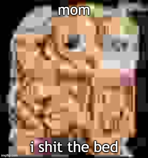 i shit the bed mom | mom; i shit the bed | image tagged in shit | made w/ Imgflip meme maker