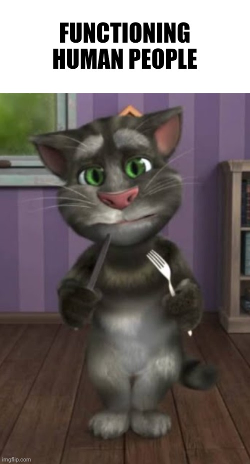 talking tom 2 hungry | FUNCTIONING HUMAN PEOPLE | image tagged in talking tom 2 hungry | made w/ Imgflip meme maker