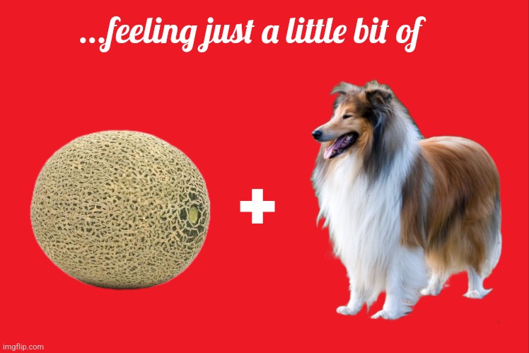 Holiday Melancholy... | ...feeling just a little bit of; + | image tagged in melon,collie | made w/ Imgflip meme maker