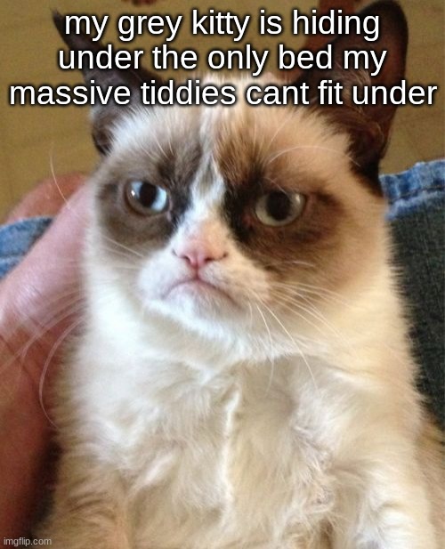 Grumpy Cat | my grey kitty is hiding under the only bed my massive tiddies cant fit under | image tagged in memes,grumpy cat | made w/ Imgflip meme maker