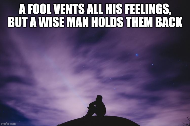 Man alone on hill at night | A FOOL VENTS ALL HIS FEELINGS, BUT A WISE MAN HOLDS THEM BACK | image tagged in man alone on hill at night | made w/ Imgflip meme maker