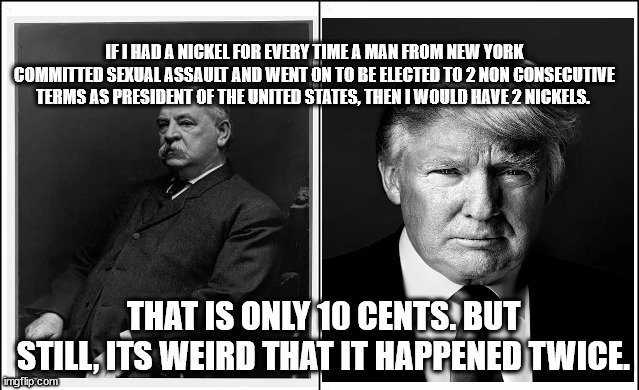 IF I HAD A NICKEL FOR EVERY TIME A MAN FROM NEW YORK COMMITTED SEXUAL ASSAULT AND WENT ON TO BE ELECTED TO 2 NON CONSECUTIVE TERMS AS PRESIDENT OF THE UNITED STATES, THEN I WOULD HAVE 2 NICKELS. THAT IS ONLY 10 CENTS. BUT STILL, ITS WEIRD THAT IT HAPPENED TWICE. | made w/ Imgflip meme maker