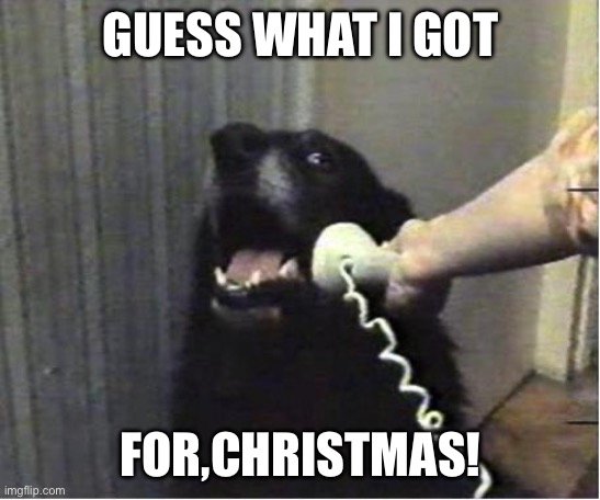 Yes this is dog | GUESS WHAT I GOT FOR,CHRISTMAS! | image tagged in yes this is dog | made w/ Imgflip meme maker