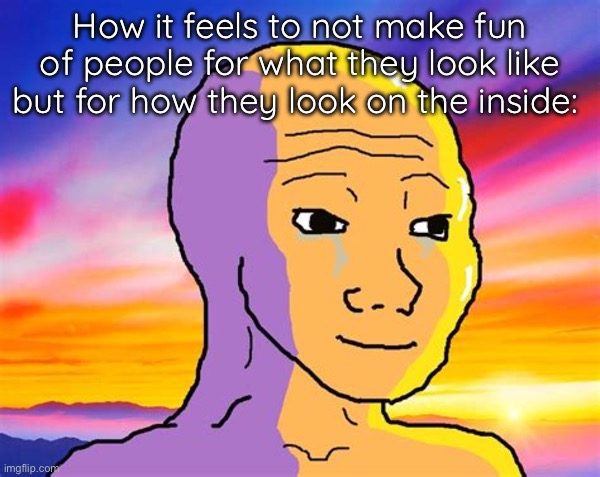 Dissection jokes incoming | How it feels to not make fun of people for what they look like but for how they look on the inside: | image tagged in sunset wojak | made w/ Imgflip meme maker