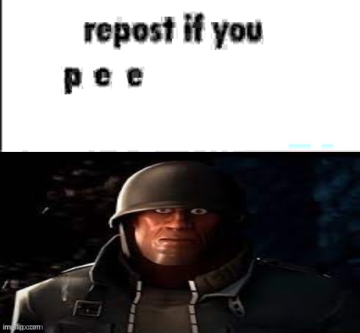 repost if your presence on this server is not necessary | image tagged in repost if your presence on this server is not necessary | made w/ Imgflip meme maker